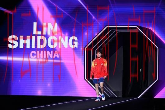 体育新星皇冠, 如何打造新一代体育明星，探索未来运动的无限可能